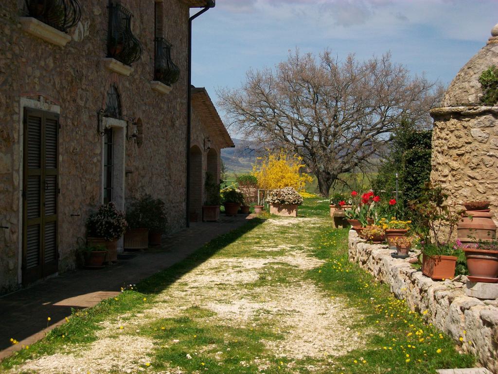 Agriturismo Il Poggiolo モンテメラノ エクステリア 写真