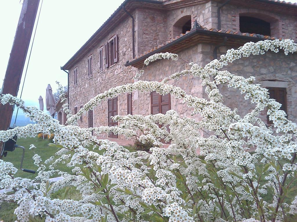 Agriturismo Il Poggiolo モンテメラノ エクステリア 写真