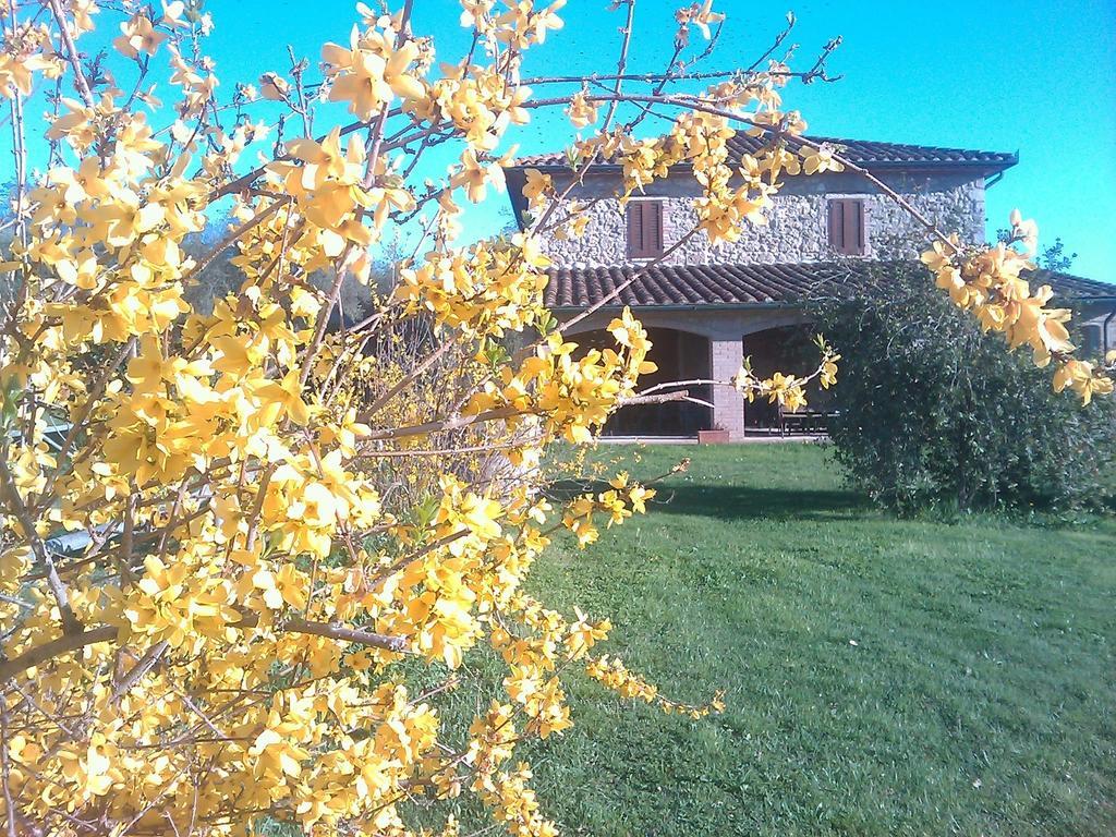 Agriturismo Il Poggiolo モンテメラノ エクステリア 写真
