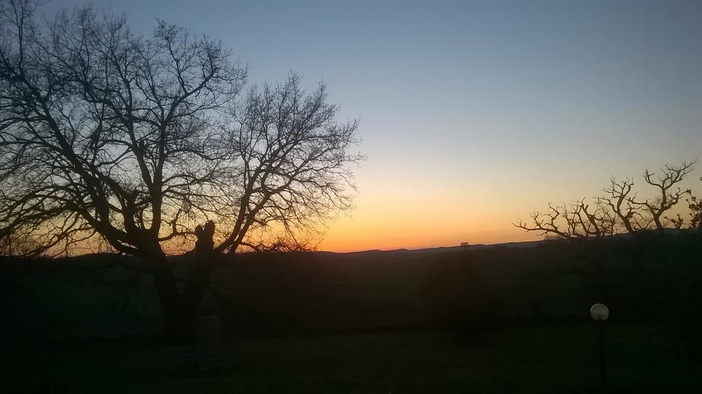 Agriturismo Il Poggiolo モンテメラノ エクステリア 写真